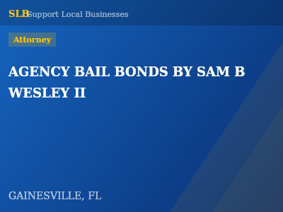 AGENCY BAIL BONDS BY SAM B WESLEY II — Attorney in GAINESVILLE, FL