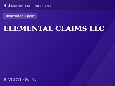 ELEMENTAL CLAIMS LLC — Insurance Agent in RIVERVIEW, FL