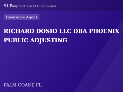 RICHARD DOSIO LLC DBA PHOENIX PUBLIC ADJUSTING — Insurance Agent in PALM COAST, FL