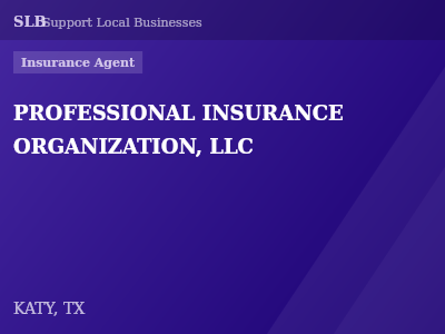 PROFESSIONAL INSURANCE ORGANIZATION, LLC — Insurance Agent in KATY, TX