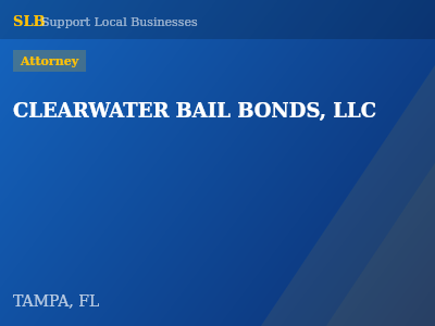 CLEARWATER BAIL BONDS, LLC — Attorney in TAMPA, FL