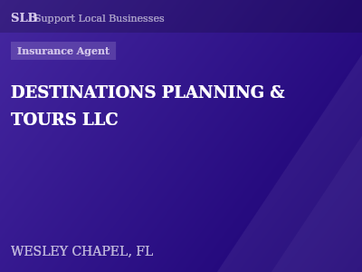 DESTINATIONS PLANNING & TOURS LLC — Insurance Agent in WESLEY CHAPEL, FL