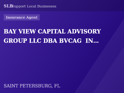 BAY VIEW CAPITAL ADVISORY GROUP LLC DBA BVCAG  INSURANCE AGENCY — Insurance Agent in SAINT PETERSBURG, FL