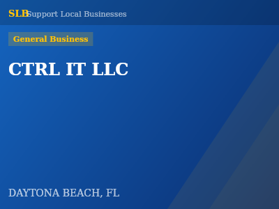 CTRL IT LLC — General Business in DAYTONA BEACH, FL