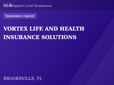 VORTEX LIFE AND HEALTH INSURANCE SOLUTIONS — Insurance Agent in BROOKSVILLE, FL