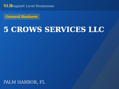 5 CROWS SERVICES LLC — General Business in PALM HARBOR, FL
