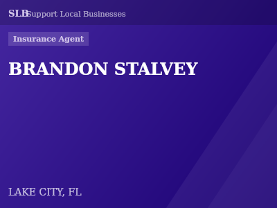 BRANDON STALVEY — Insurance Agent in LAKE CITY, FL