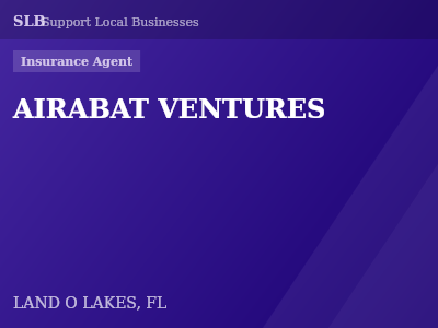 AIRABAT VENTURES — Insurance Agent in LAND O LAKES, FL