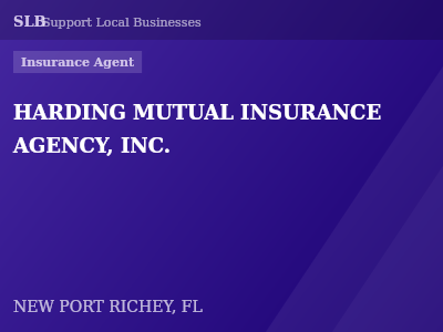 HARDING MUTUAL INSURANCE AGENCY, INC. — Insurance Agent in NEW PORT RICHEY, FL