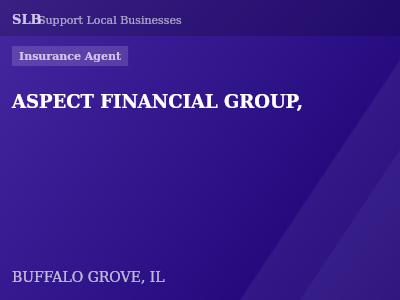 ASPECT FINANCIAL GROUP, — Insurance Agent in BUFFALO GROVE, IL
