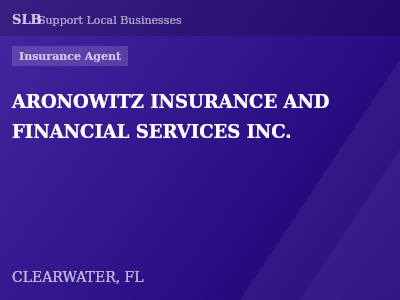 ARONOWITZ INSURANCE AND FINANCIAL SERVICES INC. — Insurance Agent in CLEARWATER, FL