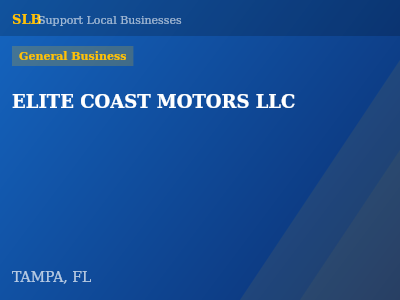 ELITE COAST MOTORS LLC — General Business in TAMPA, FL