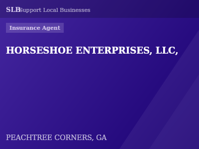 HORSESHOE ENTERPRISES, LLC, — Insurance Agent in PEACHTREE CORNERS, GA