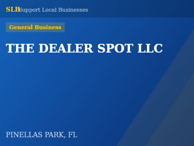 THE DEALER SPOT LLC — General Business in PINELLAS PARK, FL