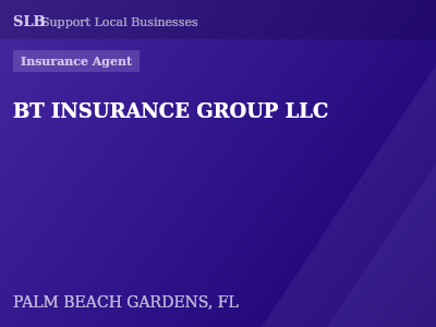 BT INSURANCE GROUP LLC — Insurance Agent in PALM BEACH GARDENS, FL