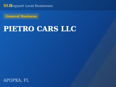 PIETRO CARS LLC — General Business in APOPKA, FL