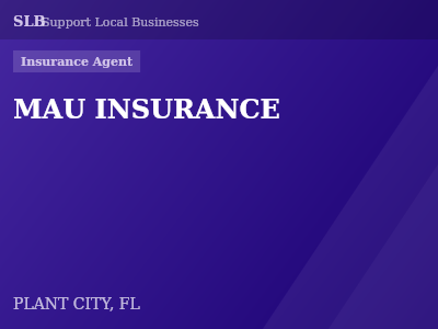 MAU INSURANCE — Insurance Agent in PLANT CITY, FL