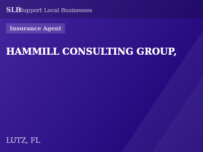 HAMMILL CONSULTING GROUP, — Insurance Agent in LUTZ, FL