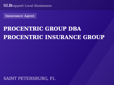 PROCENTRIC GROUP DBA PROCENTRIC INSURANCE GROUP — Insurance Agent in SAINT PETERSBURG, FL