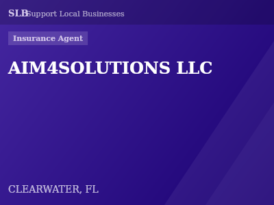 AIM4SOLUTIONS LLC — Insurance Agent in CLEARWATER, FL