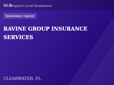 RAVINE GROUP INSURANCE SERVICES — Insurance Agent in CLEARWATER, FL