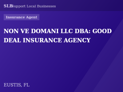 NON VE DOMANI LLC DBA: GOOD DEAL INSURANCE AGENCY — Insurance Agent in EUSTIS, FL