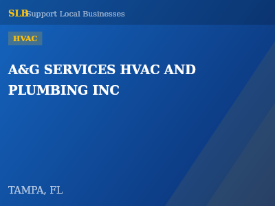 A&G SERVICES HVAC AND PLUMBING INC — HVAC in TAMPA, FL