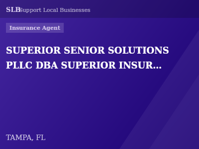 SUPERIOR SENIOR SOLUTIONS PLLC DBA SUPERIOR INSURANCE SERVICES — Insurance Agent in TAMPA, FL