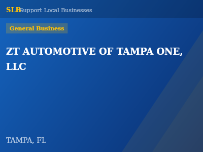 ZT AUTOMOTIVE OF TAMPA ONE, LLC — General Business in TAMPA, FL