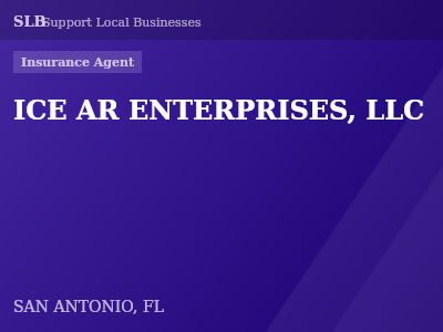 ICE AR ENTERPRISES, LLC — Insurance Agent in SAN ANTONIO, FL