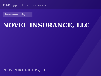 NOVEL INSURANCE, LLC — Insurance Agent in NEW PORT RICHEY, FL