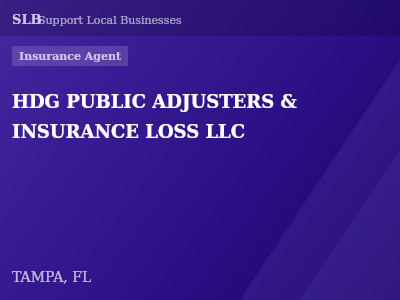 HDG PUBLIC ADJUSTERS & INSURANCE LOSS LLC — Insurance Agent in TAMPA, FL