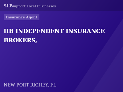 IIB INDEPENDENT INSURANCE BROKERS, — Insurance Agent in NEW PORT RICHEY, FL