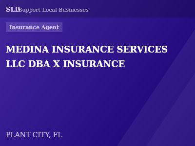 MEDINA INSURANCE SERVICES LLC DBA X INSURANCE — Insurance Agent in PLANT CITY, FL