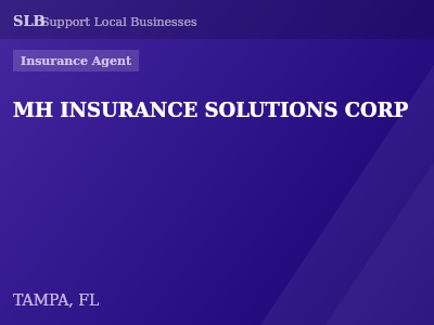 MH INSURANCE SOLUTIONS CORP — Insurance Agent in TAMPA, FL