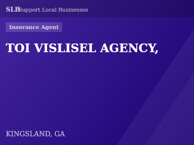 TOI VISLISEL AGENCY, — Insurance Agent in KINGSLAND, GA