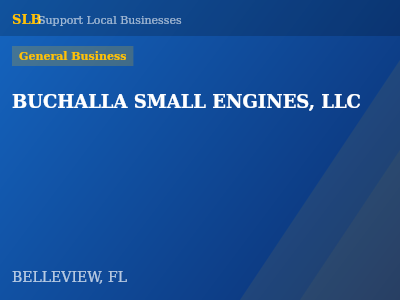 BUCHALLA SMALL ENGINES, LLC — General Business in BELLEVIEW, FL