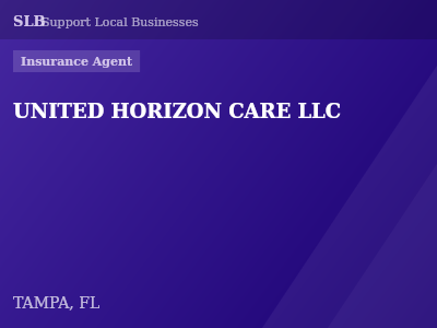 UNITED HORIZON CARE LLC — Insurance Agent in TAMPA, FL
