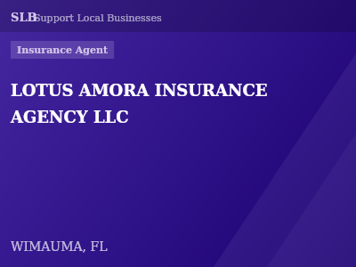 LOTUS AMORA INSURANCE AGENCY LLC — Insurance Agent in WIMAUMA, FL