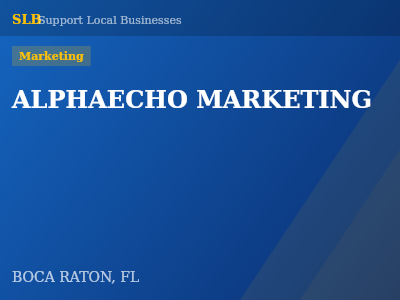 ALPHAECHO MARKETING — Marketing in BOCA RATON, FL