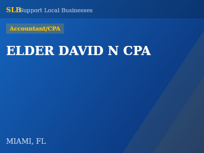 ELDER DAVID N CPA — Accountant/CPA in MIAMI, FL