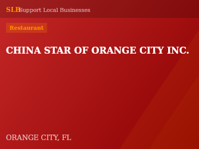 CHINA STAR OF ORANGE CITY INC. — Restaurant in ORANGE CITY, FL