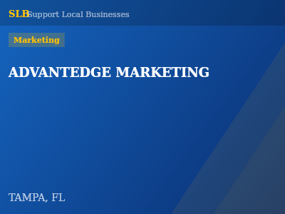 ADVANTEDGE MARKETING — Marketing in TAMPA, FL