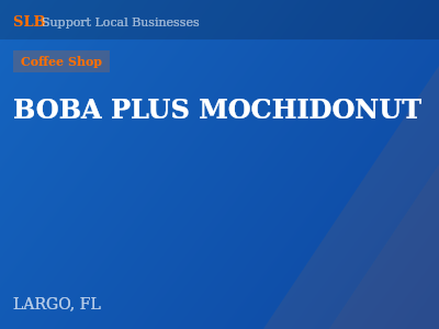 BOBA PLUS MOCHIDONUT — Coffee Shop in LARGO, FL
