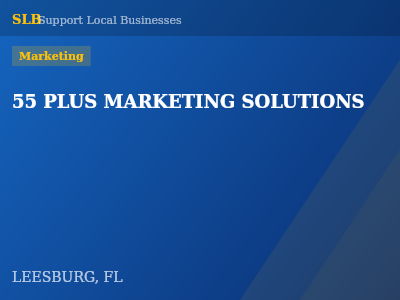 55 PLUS MARKETING SOLUTIONS — Marketing in LEESBURG, FL