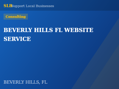 BEVERLY HILLS FL WEBSITE SERVICE — Consulting in BEVERLY HILLS, FL