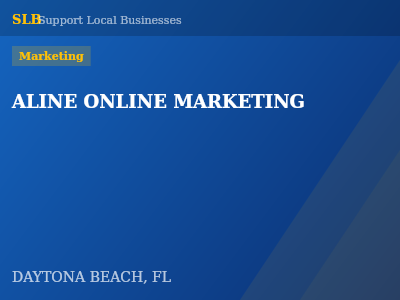 ALINE ONLINE MARKETING — Marketing in DAYTONA BEACH, FL