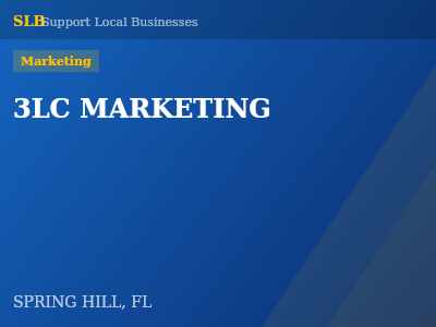3LC MARKETING — Marketing in SPRING HILL, FL