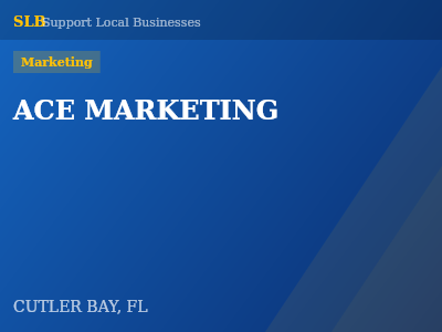 ACE MARKETING — Marketing in CUTLER BAY, FL