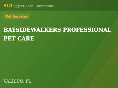 BAYSIDEWALKERS PROFESSIONAL PET CARE — Pet Services in VALRICO, FL